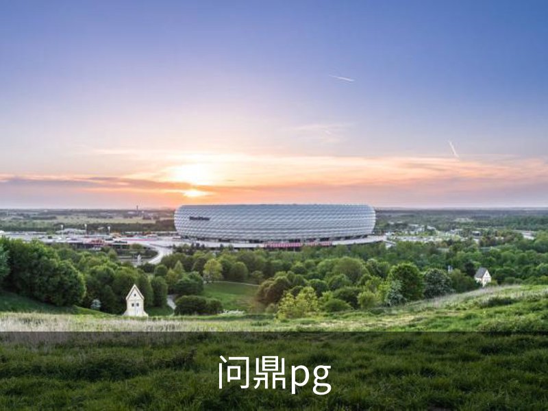 走进问鼎pg